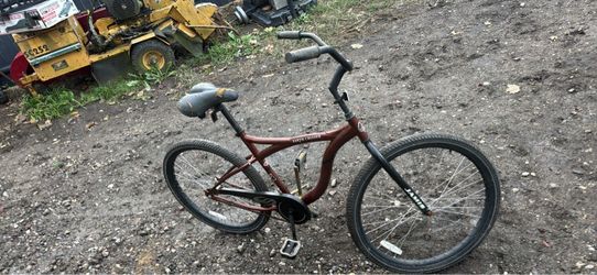 Jamis Earth Cruiser Bike
