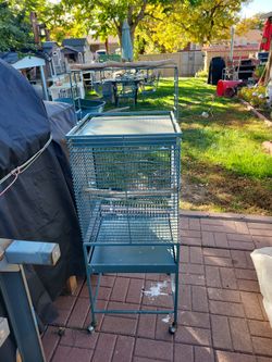 Bird Cage