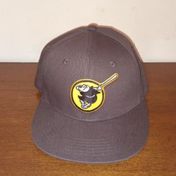 Brand New Melonwear San Diego Padres Snapback Hat $15
