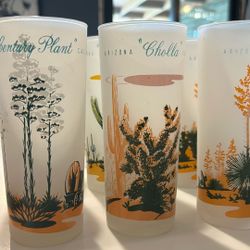 Set Of 12 Mcm Cactus Glassware