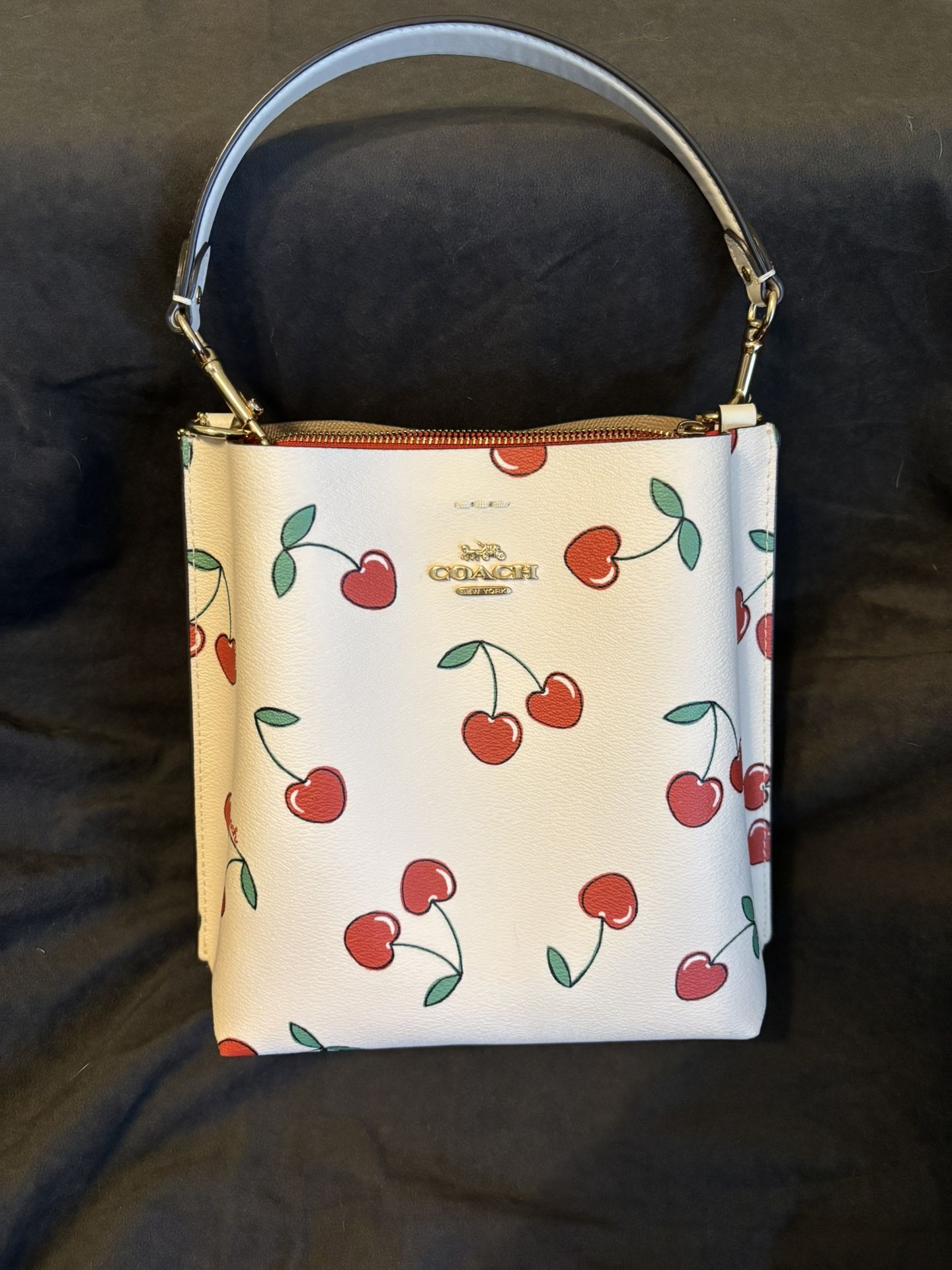 COACH Mollie Bucket Bag With Cherries - Main Image