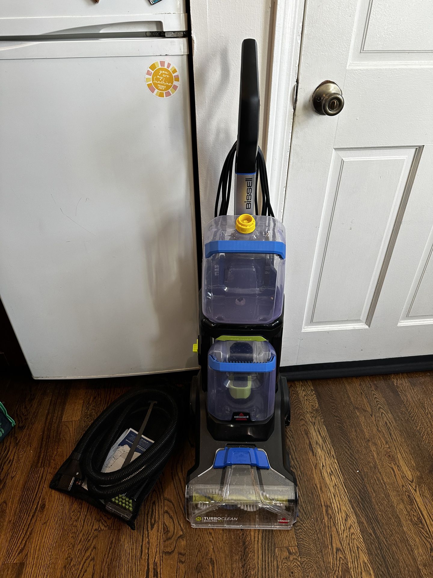 BISSELL® TurboClean™ DualPro Pet Carpet Cleaner