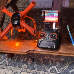 Wingsland Minivet scarlet 