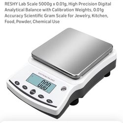 High Precision Balance Scale
