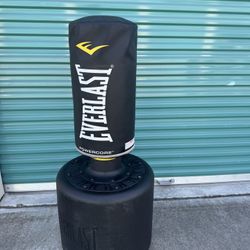 Everlast Heavy Bag