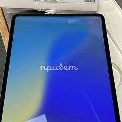 13” 256gb iPad Pro m4 Wi-Fi + Cellular 846223-1