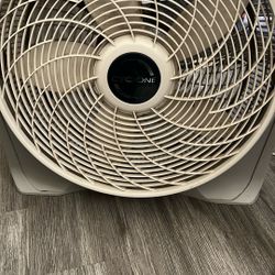 Fan