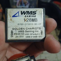 WMS Bluebird 1 Compact Flash GAME Software Golden Chariots