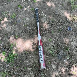 Bat