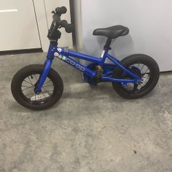 REI Co-op Kids Bike Rev 12