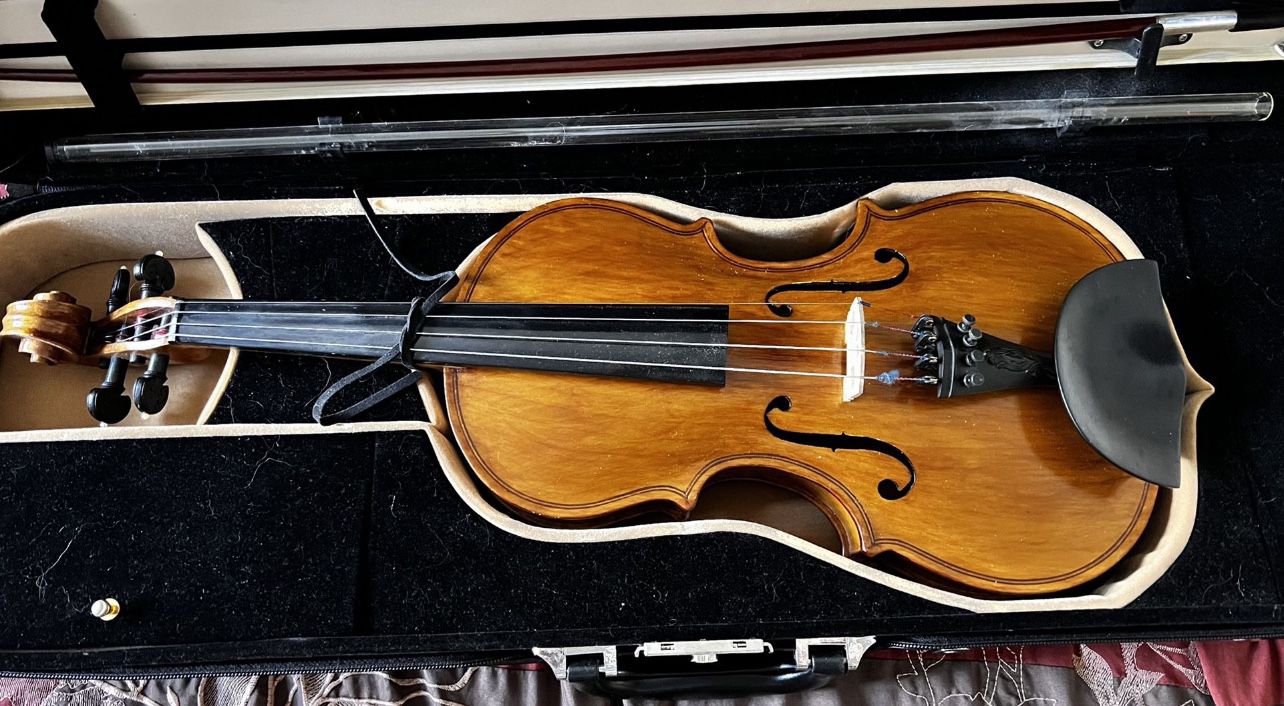 A Professional 4/4 Violin 