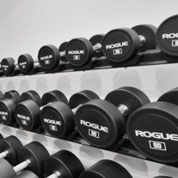 Rogue Fitness Urethane Dumbbells Complete 5-50 Lb Set - Retails for Over $2,000