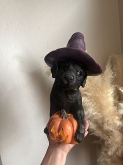  Black Halloween Lab