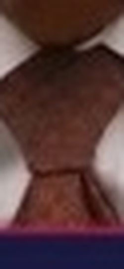 Men's Brown Silk Tie