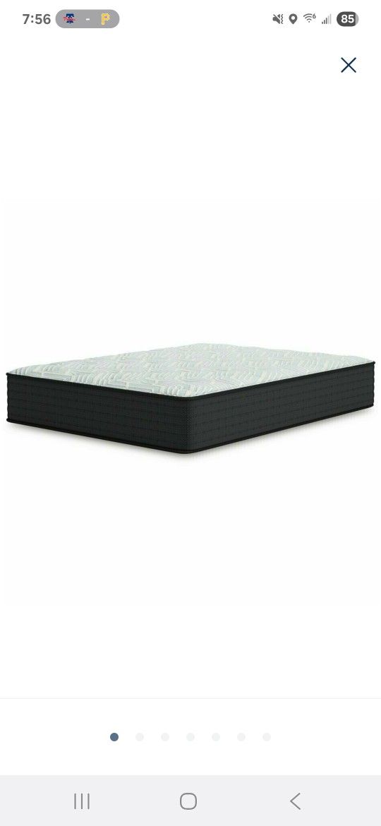 BRAND NEW IN BOX Sierra Sleep by Ashley
-
14" Palisades Firm Mattress