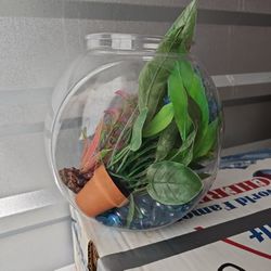 Fish Supplies