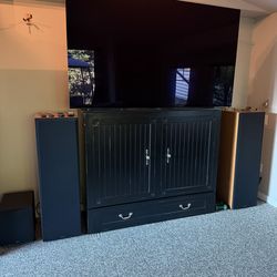 Cabinet fold out bed