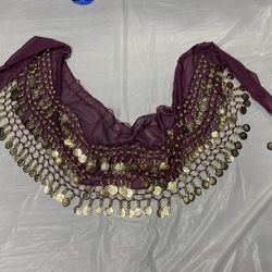 Belly Dance Women’s Skirt Halloween Costume