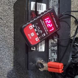 Diehard Red Battery Group Size 24f