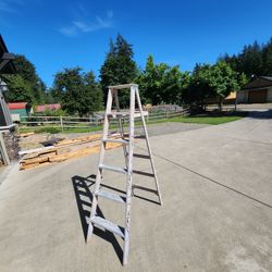 6ft. Step Ladders, There's Two! 