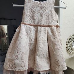 Beautiful Girls Party Dress! (Beige / Rose Gold)