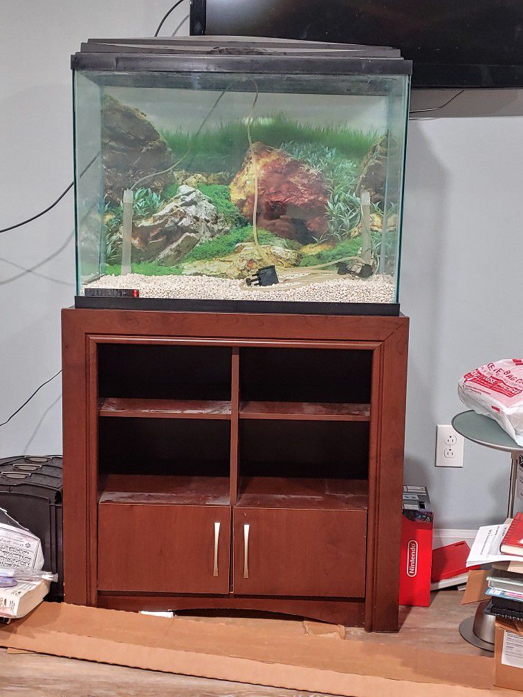 60 Gallon Fish Tank With Stand And Accessories 12Wx30Lx22H