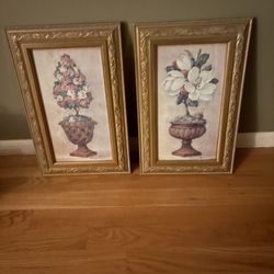 Framed Floral Pictures 