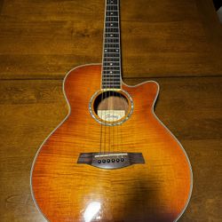 Ibanez - Acoustic/Electric