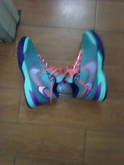 🔥🔥 Lebron's(8,5) Air Max 95z(9,5)🔥💦