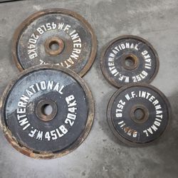 45 lbs and 25 lbs Weight Plates