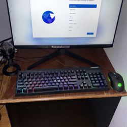 PC with Monitor, Mike , Camera 