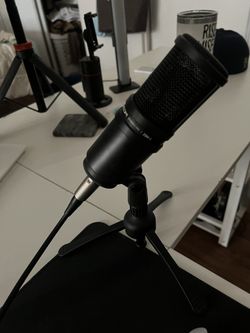 Zoom Mics