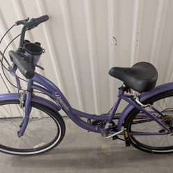 Beach cruiser_Purple