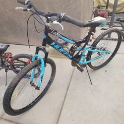 Adult Bike