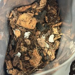 Riddick’s Premium Aroid Potting Mix