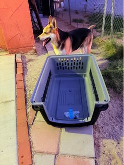 Large dog crate
