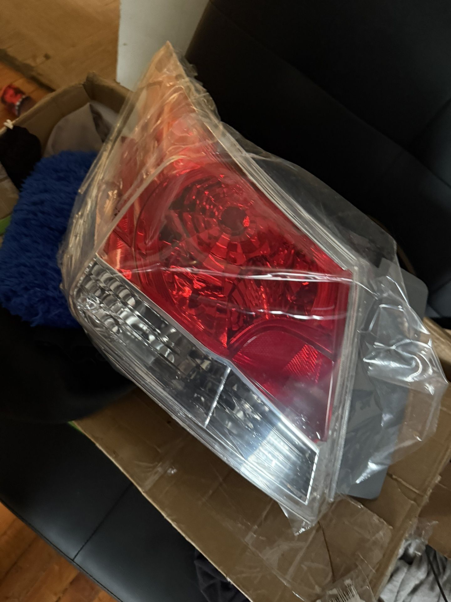Honda Accord Taillight Assembly