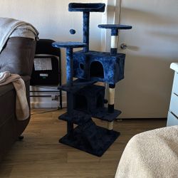 Cat Condo 