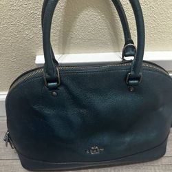 Authentic Darcie Coach Carryall Purse