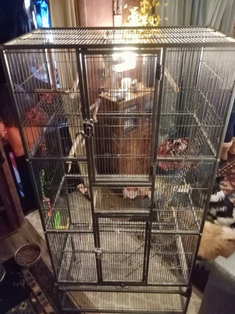 Big Bird Cage !