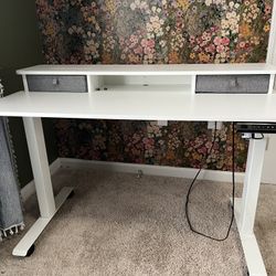 48x24 Inch Electric Standing Desk with Double Drawers, Adjustable Height