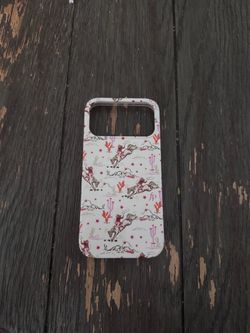 iPhone 17 pro max case