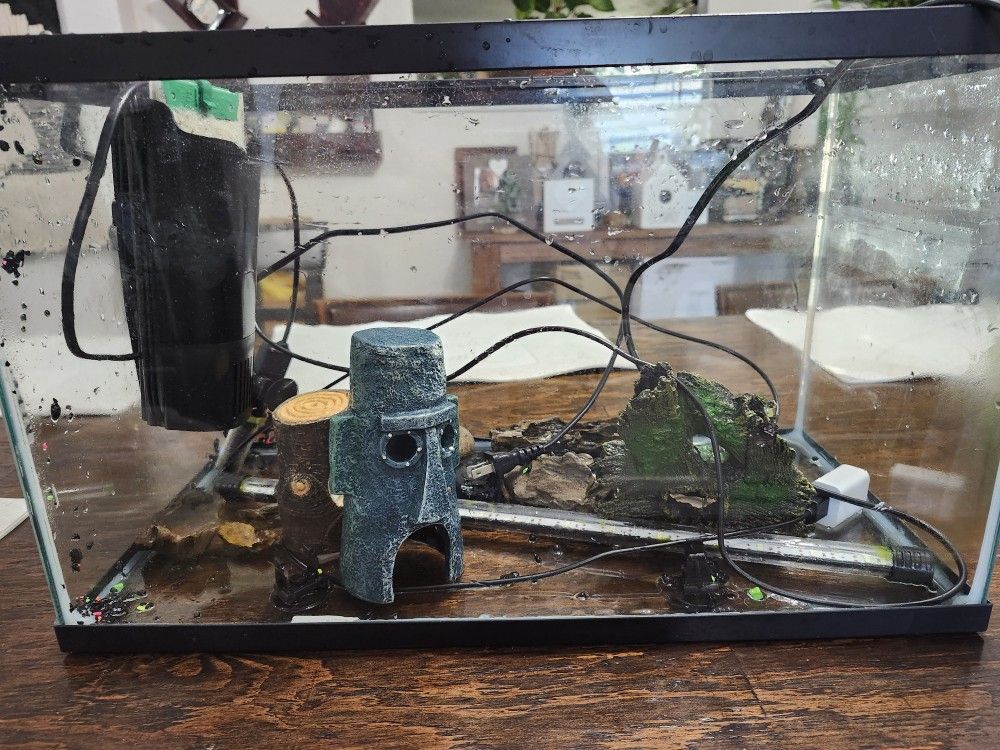 Fish Tank 5