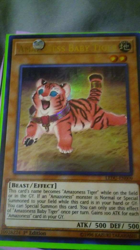 Amazoness Baby Tiger