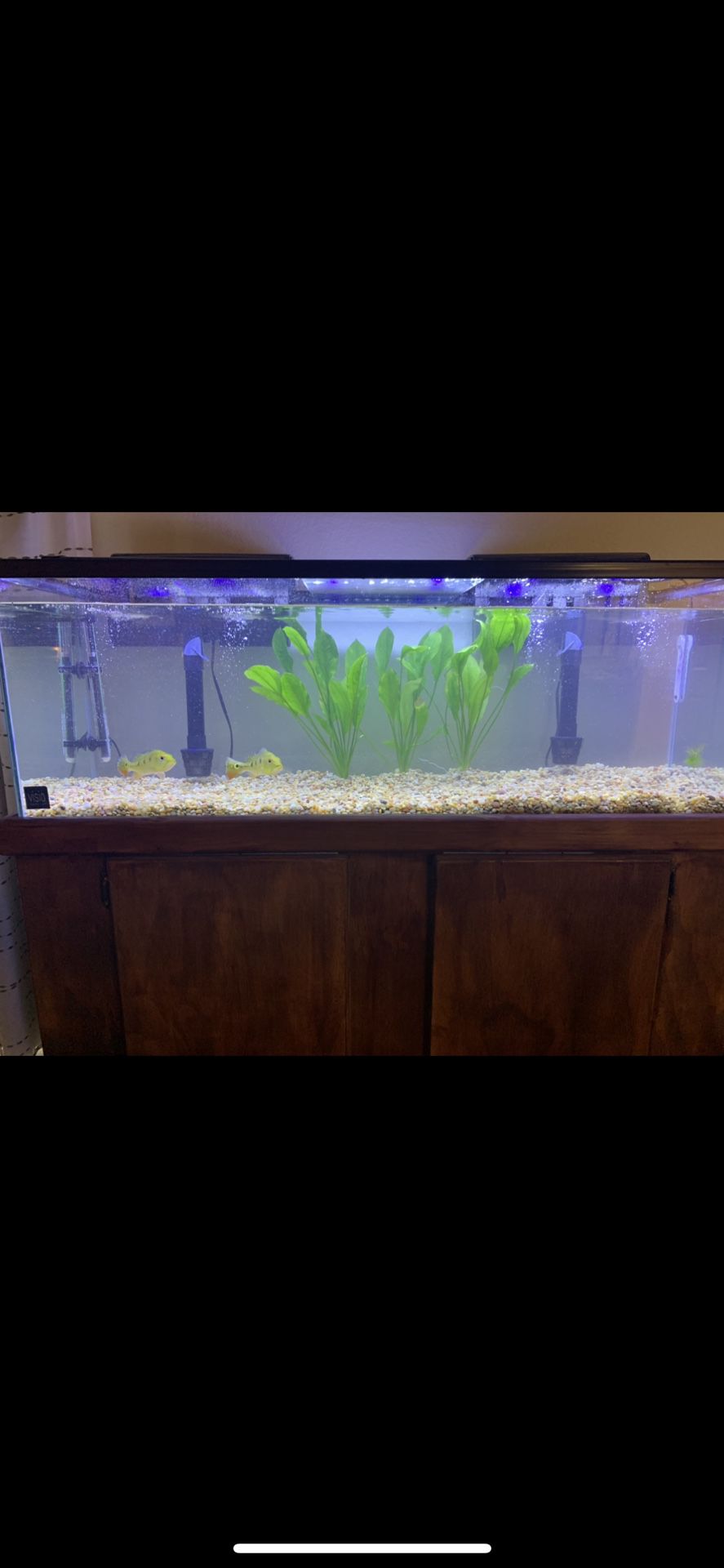 Fish Tank With Cabinet 