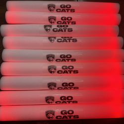 Florida Panthers Playoffs Rally Glow Sticks 