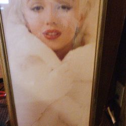 Marilyn Monroe Picture 