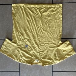 Men’s Carhartt Shirt