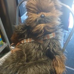 Chuwbacca From Star Wars Original Back Pask