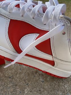 Red Nike Dunks 